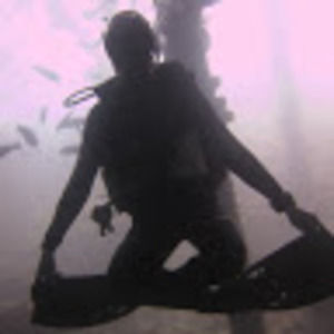 Meet your Posher, Marie